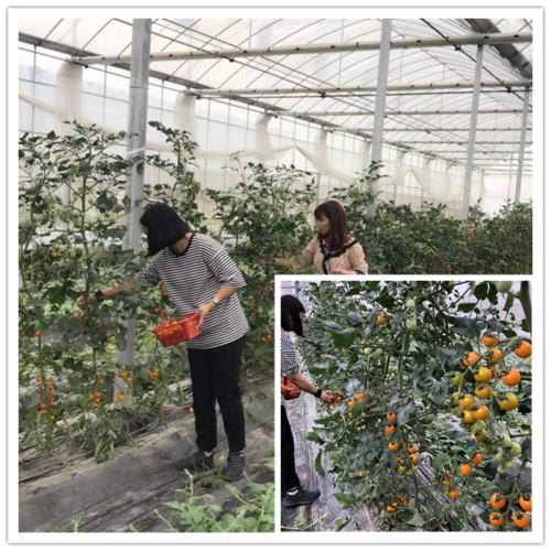 1528272264463607.png 微信圖片_20180606095314.png